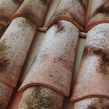 COPPI ROSATO ANTICATO - COPERTURE
