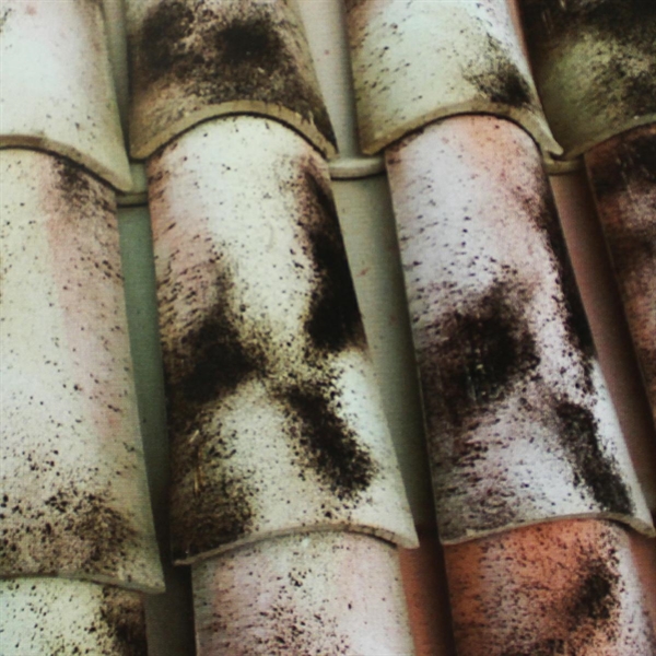 COPPI MEDITERRANEO ANTICATO - COPERTURE