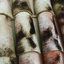 COPPI MEDITERRANEO ANTICATO - COPERTURE