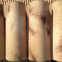 COPPI MEDITERRANEO ANTICATO - COPERTURE