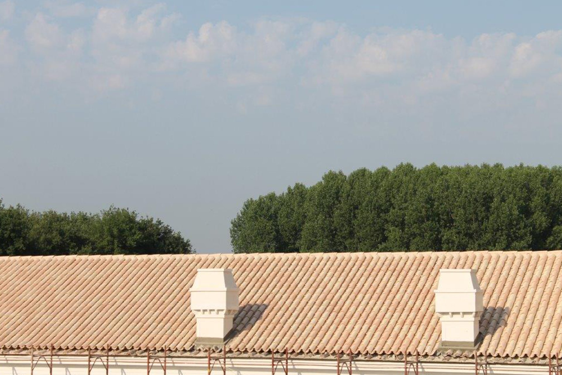 reggiacarditello3