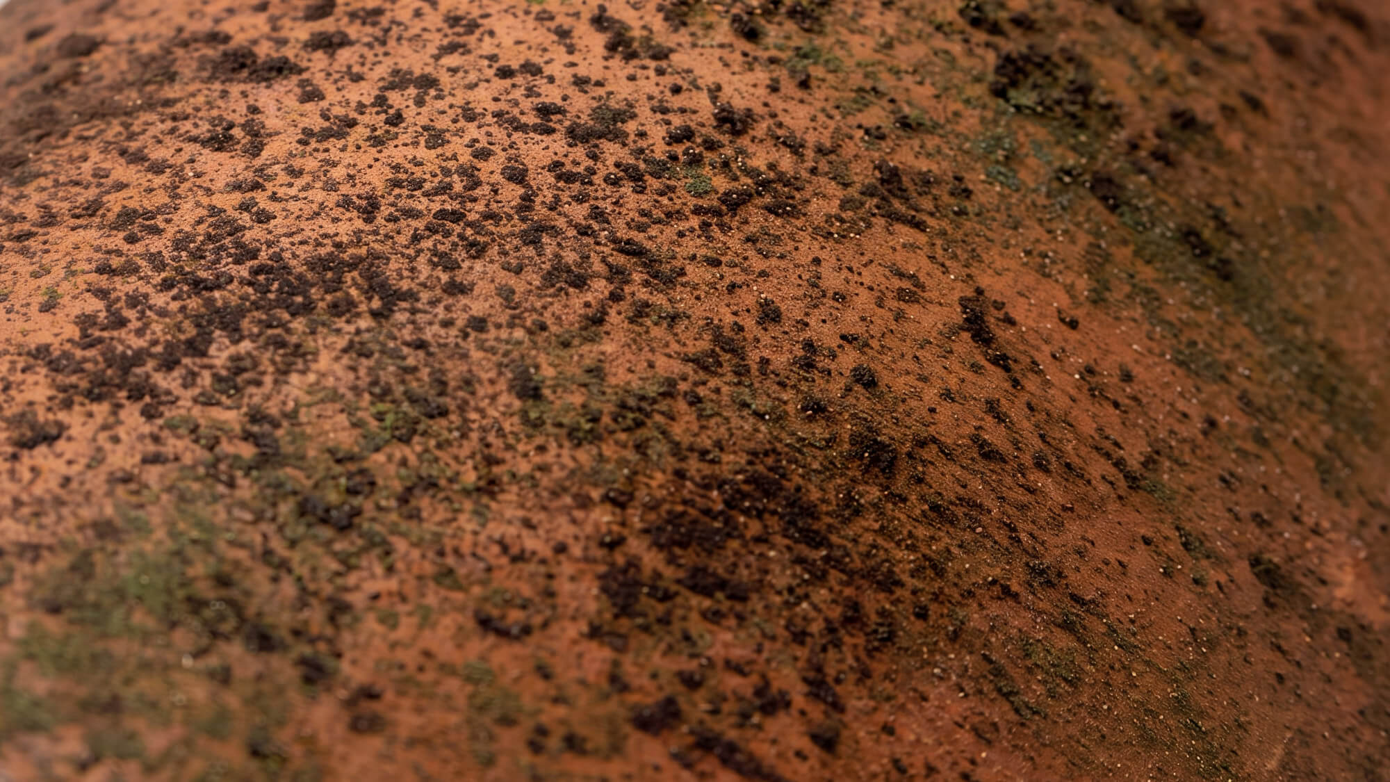Coppo Sardo Rosso Anticato E31M1 — dettaglio